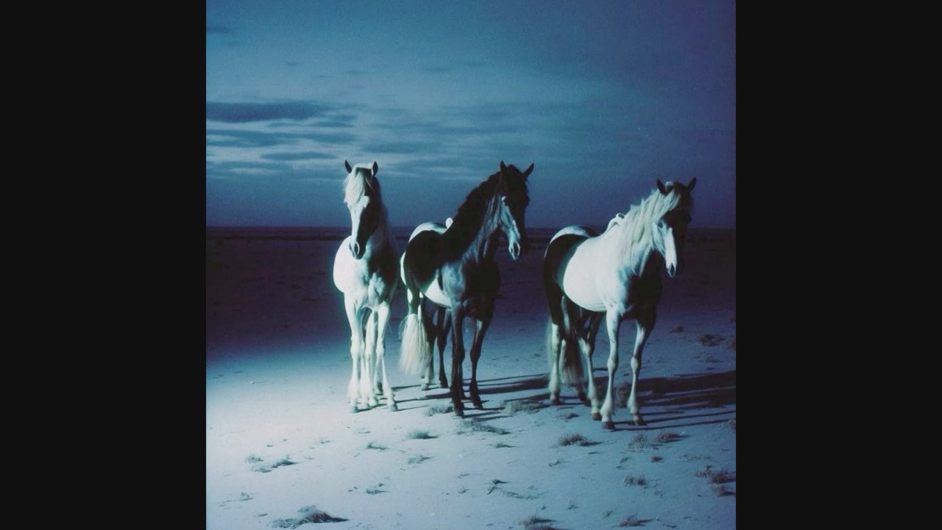 Load video: HORSES .WAV