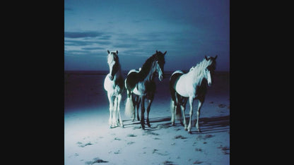 HORSES .WAV